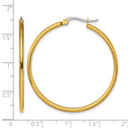 Stainless Steel Gold-Tone Polished Hoop Earrings for Women