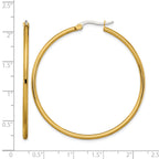 Stainless Steel Gold-Tone Polished Hoop Earrings for Women
