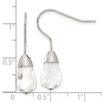 Stainless Steel Polished Drop Dangle Earrings for Women