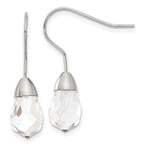 Stainless Steel Polished Drop Dangle Earrings for Women