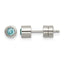 Stainless Steel Polished Blue Cubic Zirconia Birthstone Stud Earrings for Women