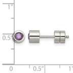 Stainless Steel Polished Purple Cubic Zirconia Birthstone Stud Earrings for Women