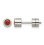 Stainless Steel Polished Red Cubic Zirconia Birthstone Stud Earrings