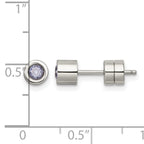 Stainless Steel Polished Pink Cubic Zirconia Birthstone Stud Earrings for Women