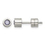 Stainless Steel Polished Pink Cubic Zirconia Birthstone Stud Earrings for Women