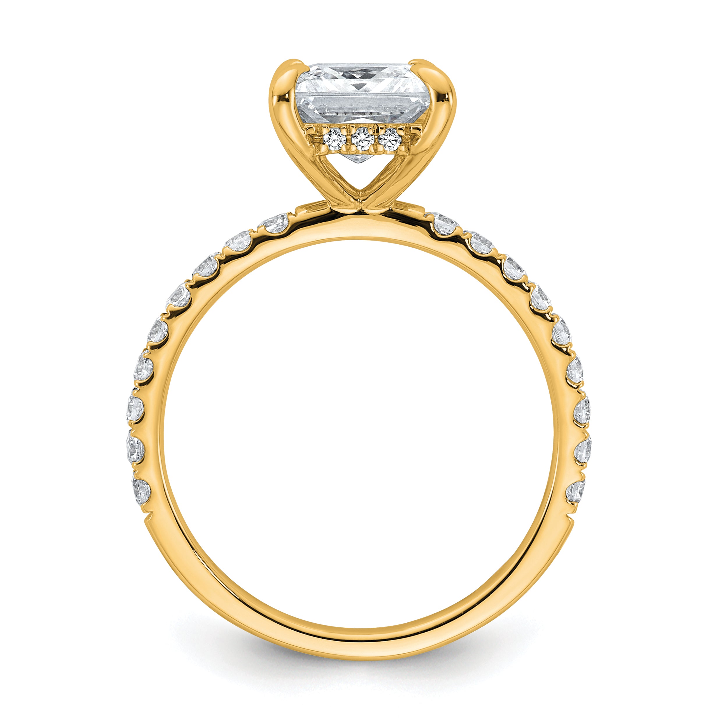 14k 2 1/2 carat Certified Lab Grown Diamond VS+ F+ Princess Complete Solitaire with Flair Engagement Ring