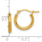10k 2x12mm Polished Hoop Earrings