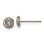 Chisel Titanium Brushed CZ Post Earrings