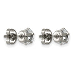 Titanium Cubic Zirconia Stud Earrings for Women