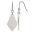 Titanium Drop Dangle Earrings for Women