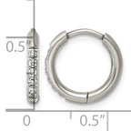Titanium Hinged Cubic Zirconia Huggie Hoop Earrings for Women