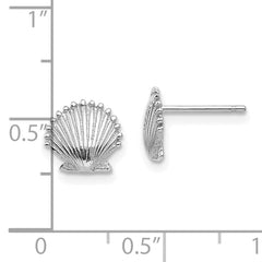 14K White Gold Scallop Shell Post Earrings