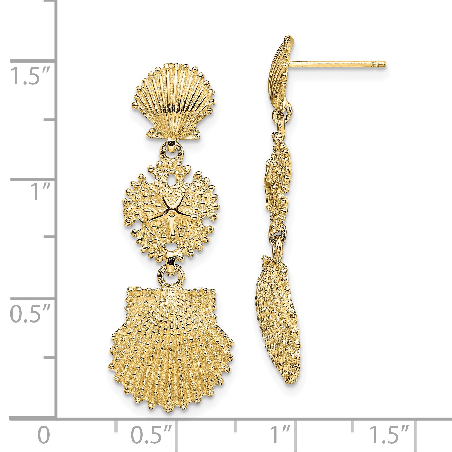 14K Scallop, Sand Dollar,,Scallop Dangle Earrings