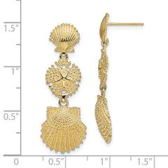 14K Scallop, Sand Dollar,,Scallop Dangle Earrings