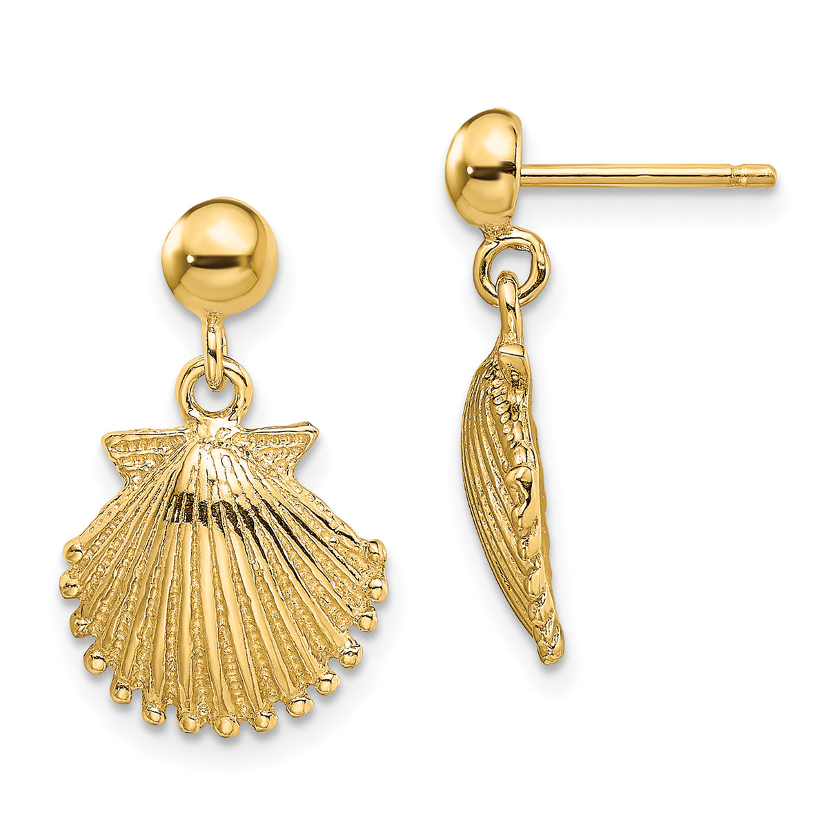 14K Polished Scallop Shell Dangle Earrings Main image