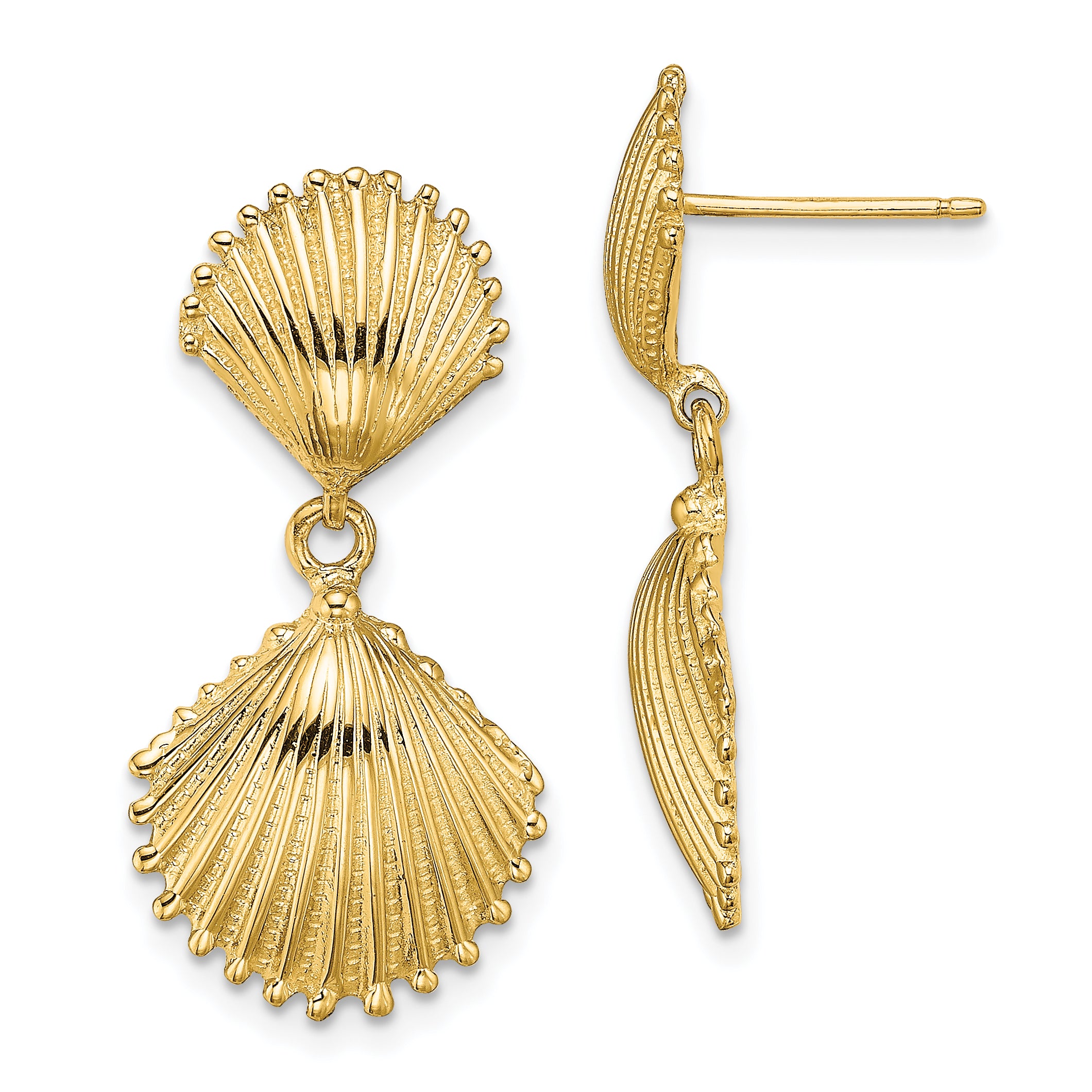 14K Polished Scallop Shell Dangle Earrings