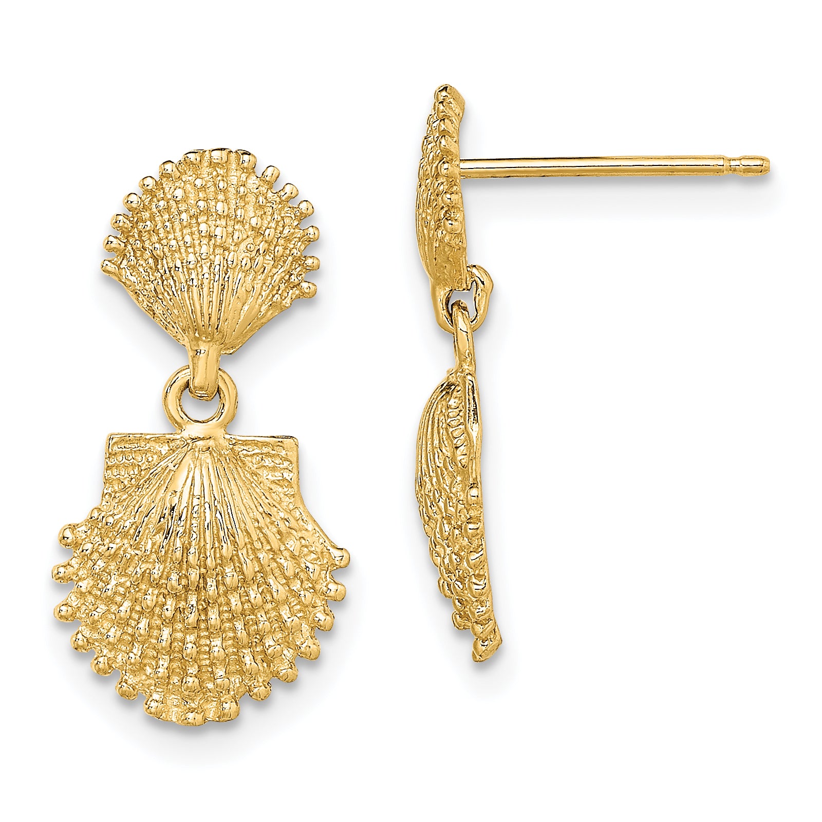 14K Double Beaded Scallop Shell Dangle Earrings Main image