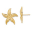 14K 2-D Polished and Textured Starfish Post Earrings