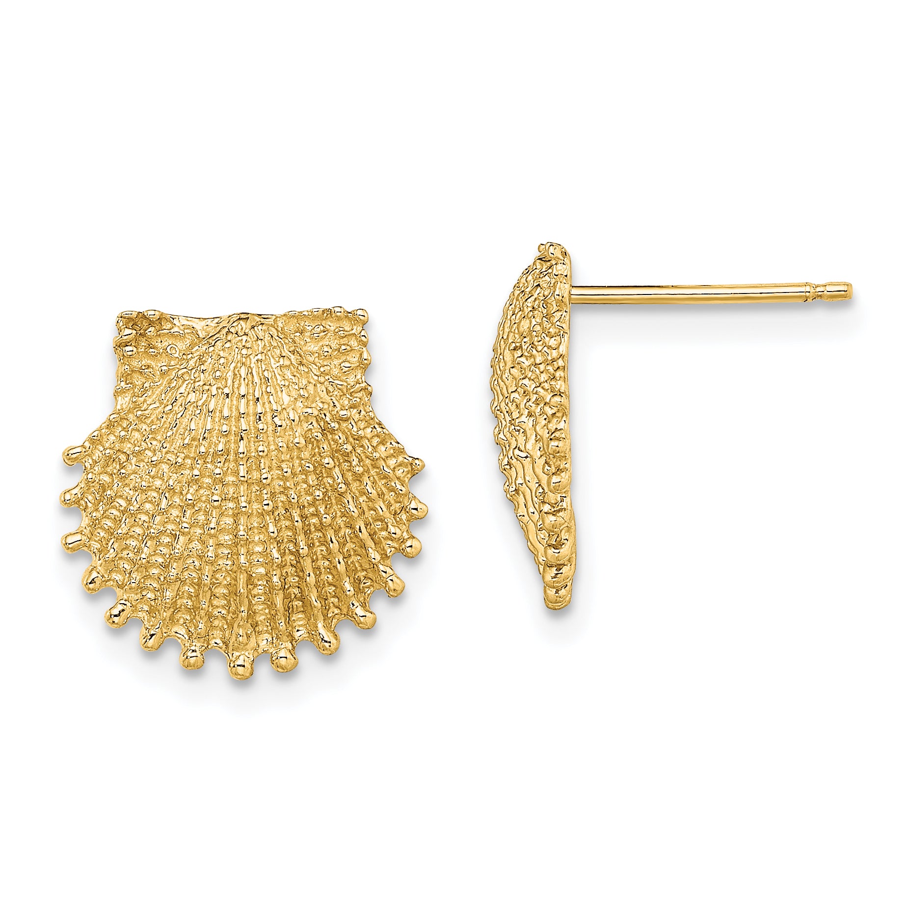 14K Beaded Scallop Shell Post Earrings Main image