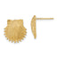 14K Beaded Scallop Shell Post Earrings