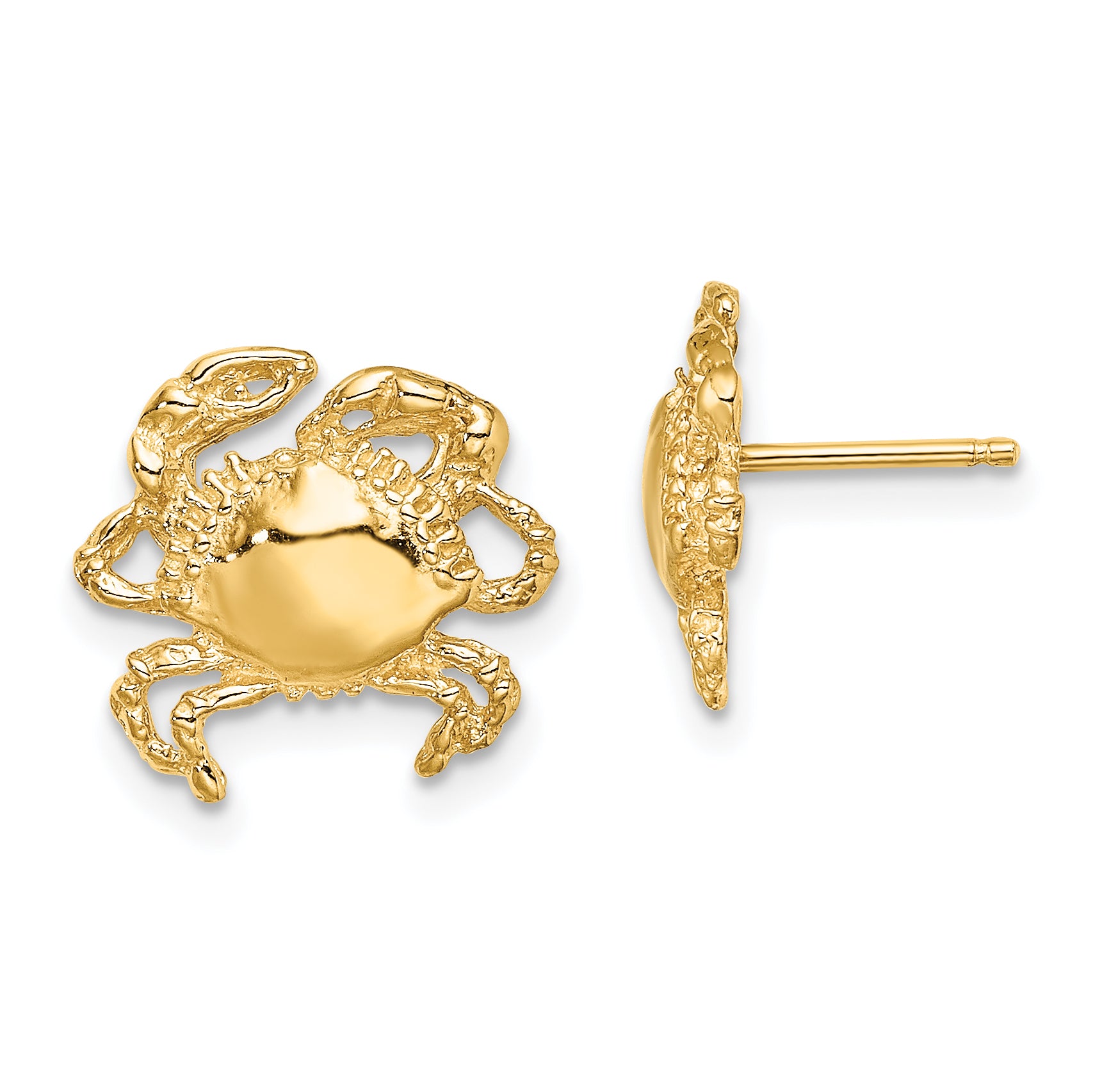14K 2-D / Polished Crab Post Earrings Main image