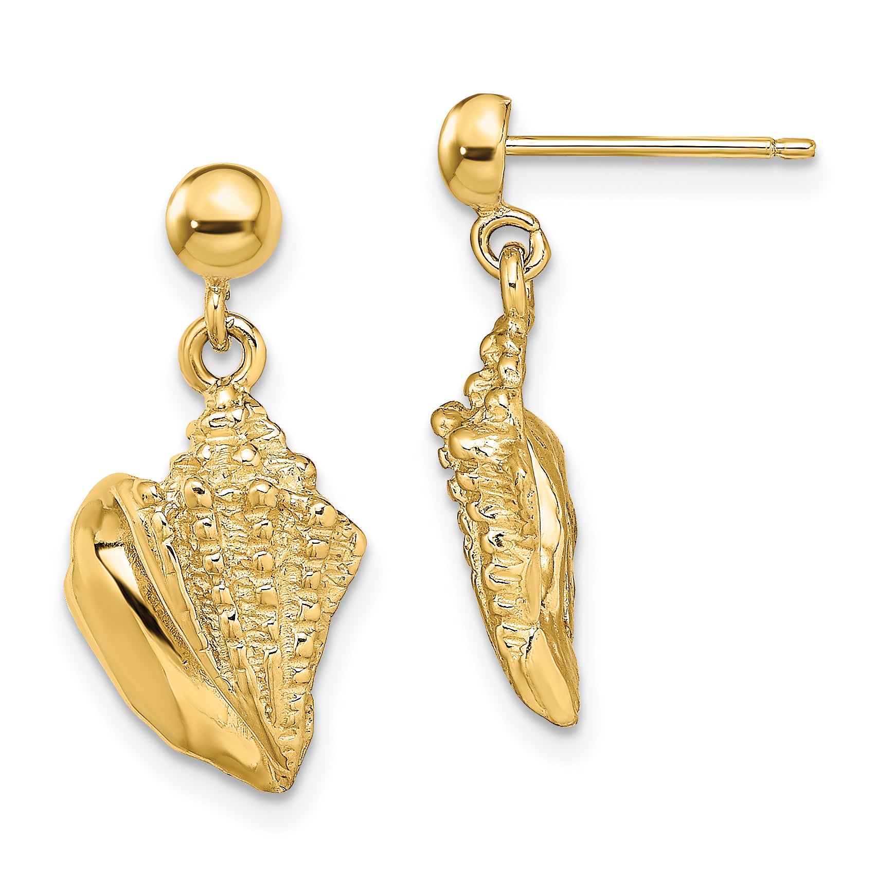 14K Conch Shell Dangle Earrings Main image