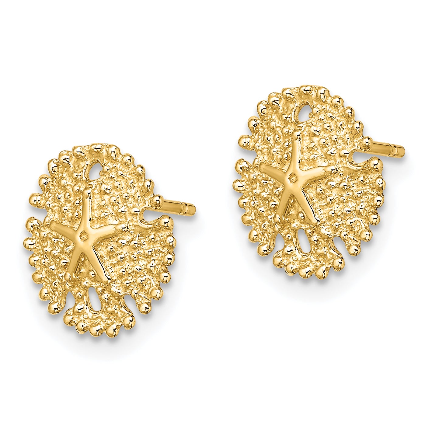 14K Textured Sand Dollar Post Earrings