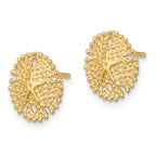 14K Textured Sand Dollar Post Earrings