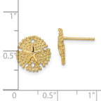 14K Textured Sand Dollar Post Earrings