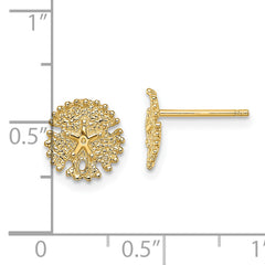 14K Textured Sand Dollar Post Earrings