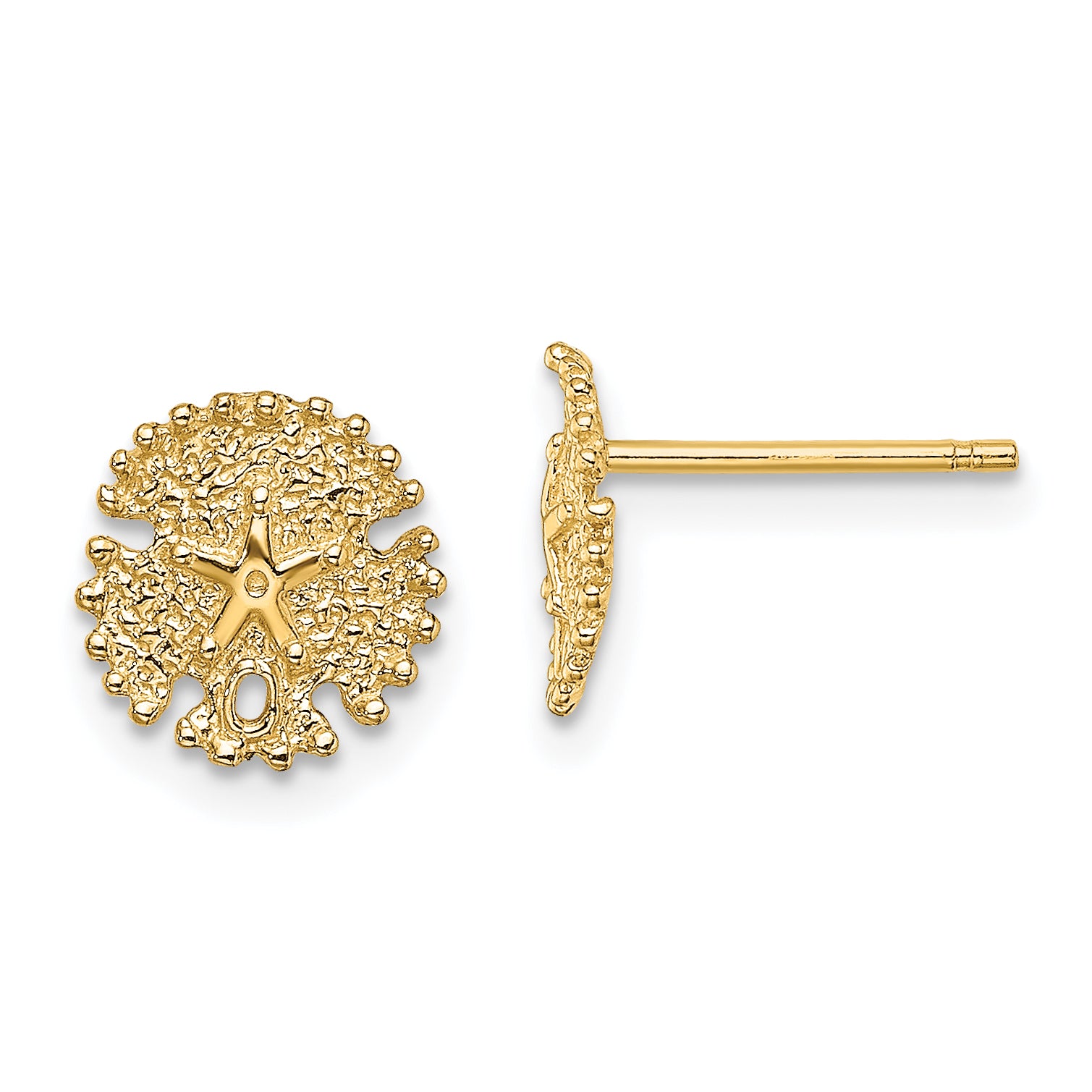 14K Textured Sand Dollar Post Earrings Main image