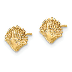 14K Scallop Shell Post Earrings