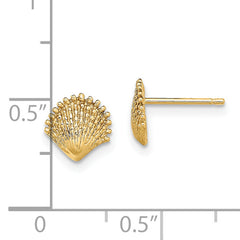 14K Scallop Shell Post Earrings