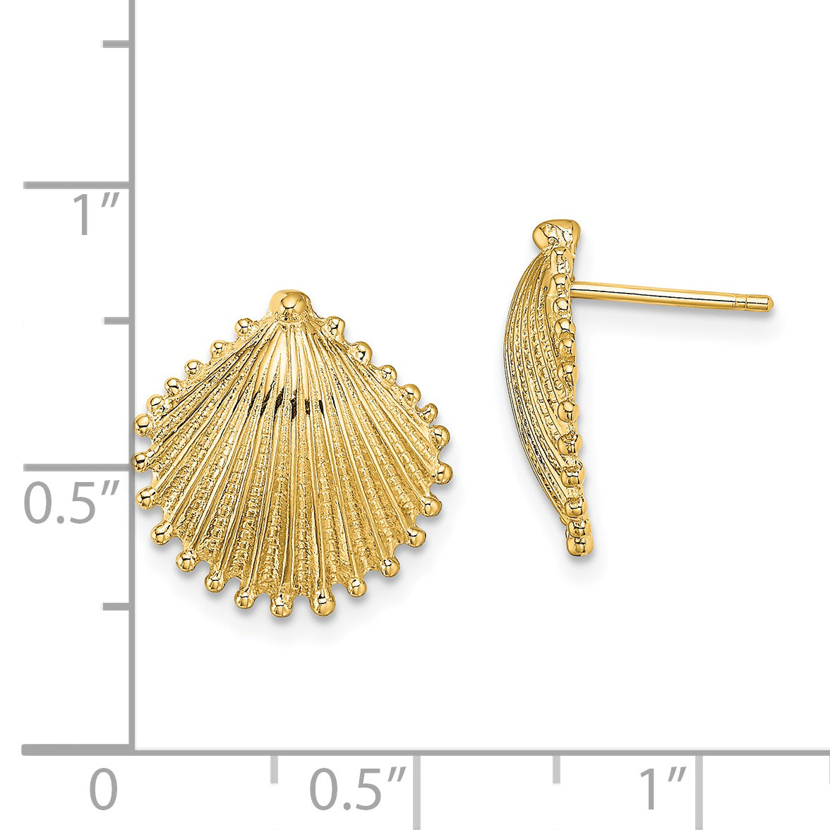 14K Scallop Shell Post Earrings