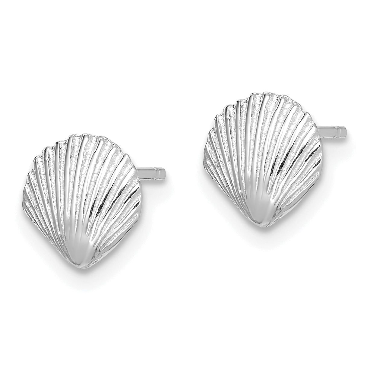 14K White Gold Scallop Shell Post Earrings
