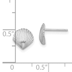 14K White Gold Scallop Shell Post Earrings