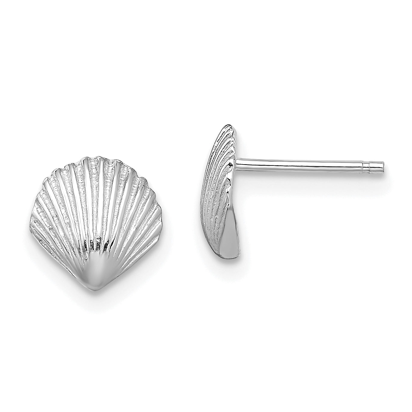 14K White Gold Scallop Shell Post Earrings Main image