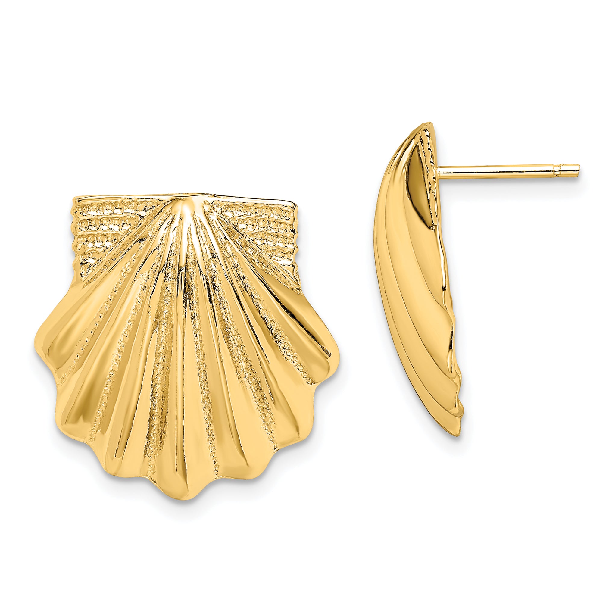 14K Scallop Shell Earrings Main image