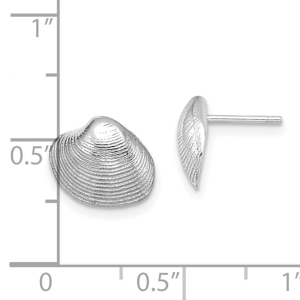 14K White Gold Clam Shell Post Earrings