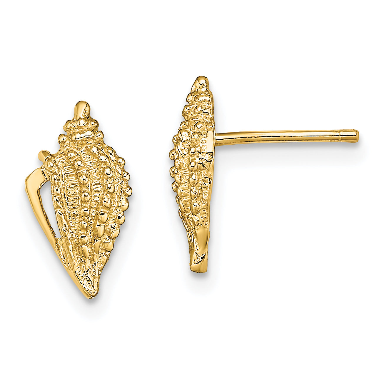 14K Mini Conch Shell Post Earrings Main image