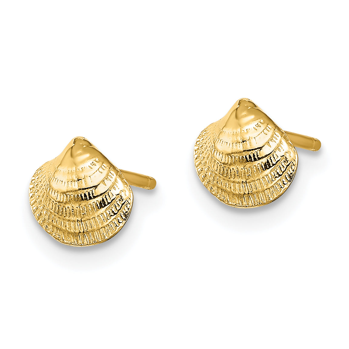 14K Mini Clam Shell Post Earrings Secondary image