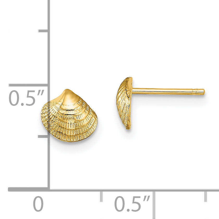 14K Mini Clam Shell Post Earrings