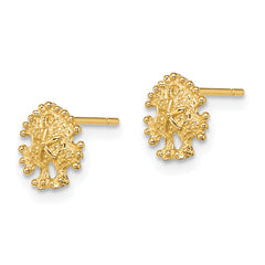 14K Mini Sand Dollar Post Earrings