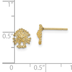14K Mini Sand Dollar Post Earrings