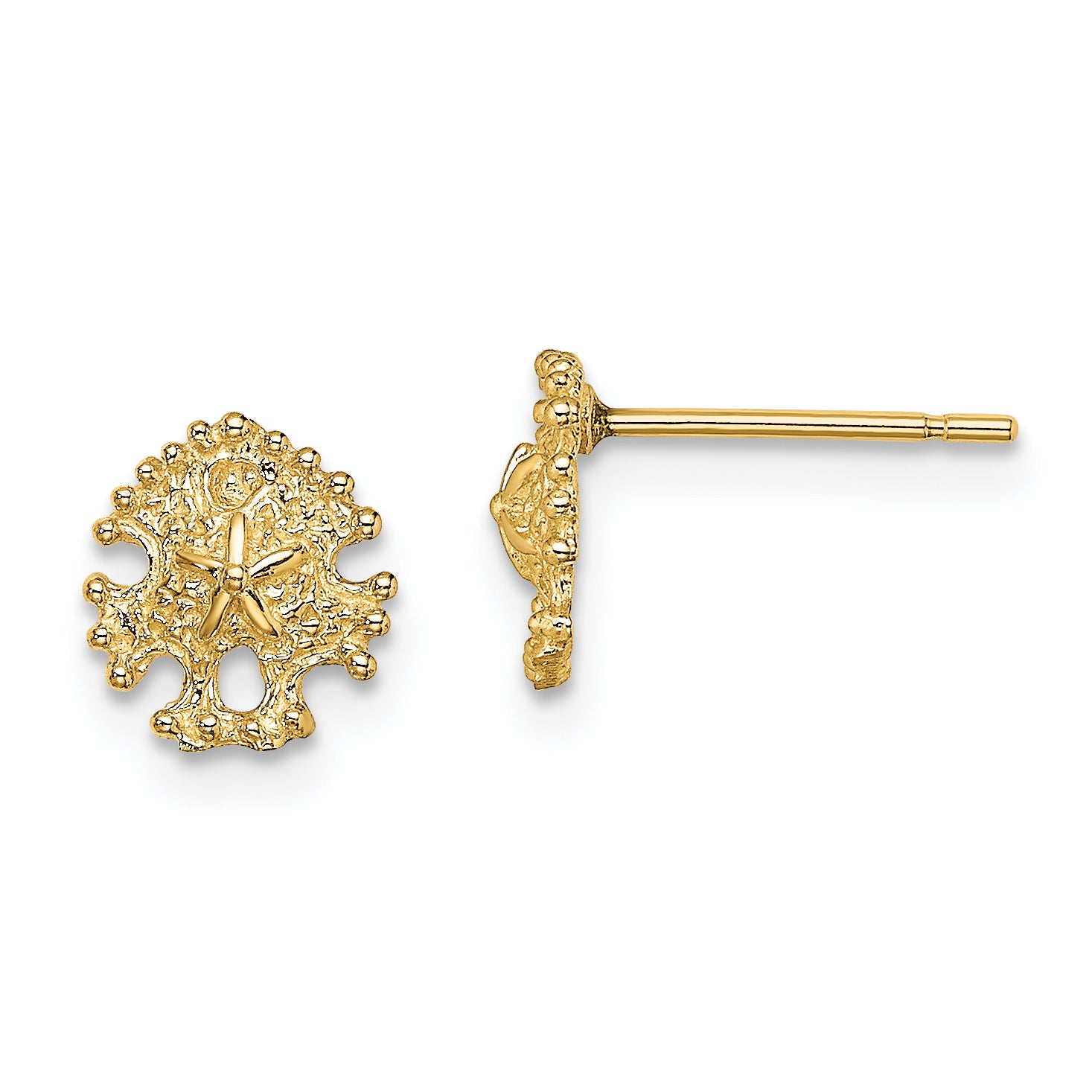 14K Mini Sand Dollar Post Earrings Main image
