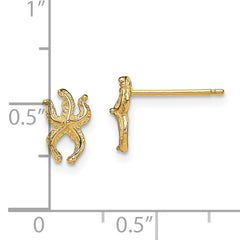 14K Mini Starfish Post Earrings