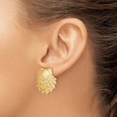 14K Lion's Paw Shell Post Earrings