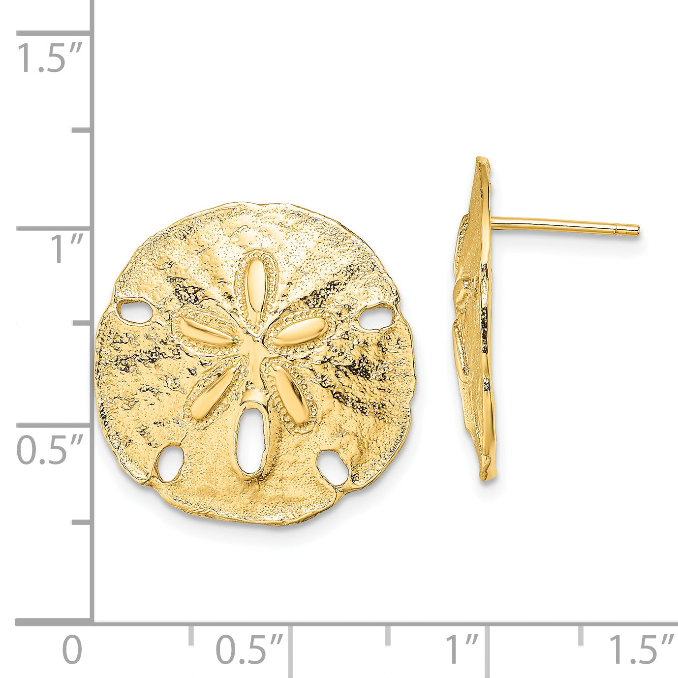 14K Polished Sand Dollar Post Earrings