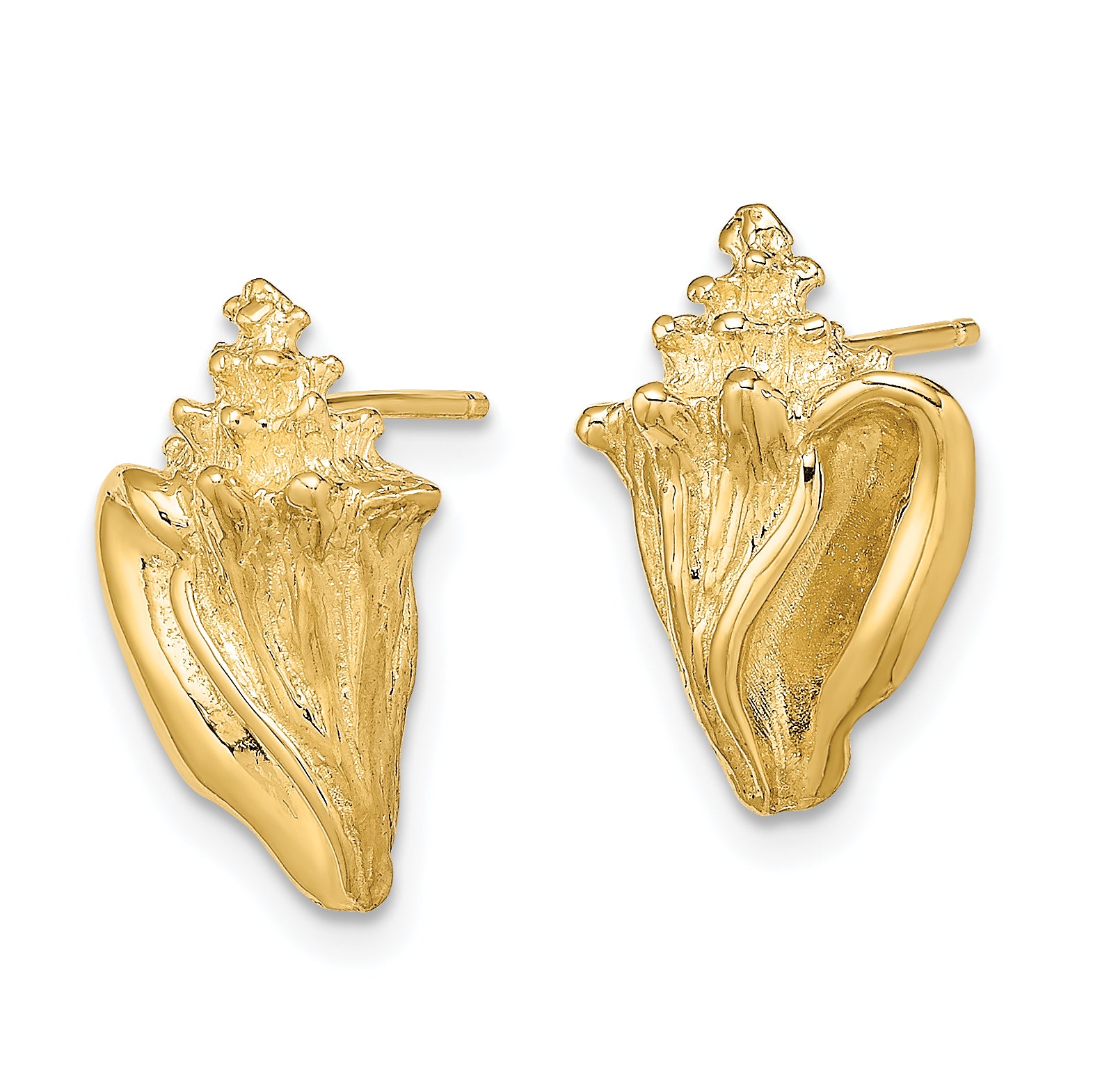 14K 2-D Conch Shell Post Earrings Secondary image