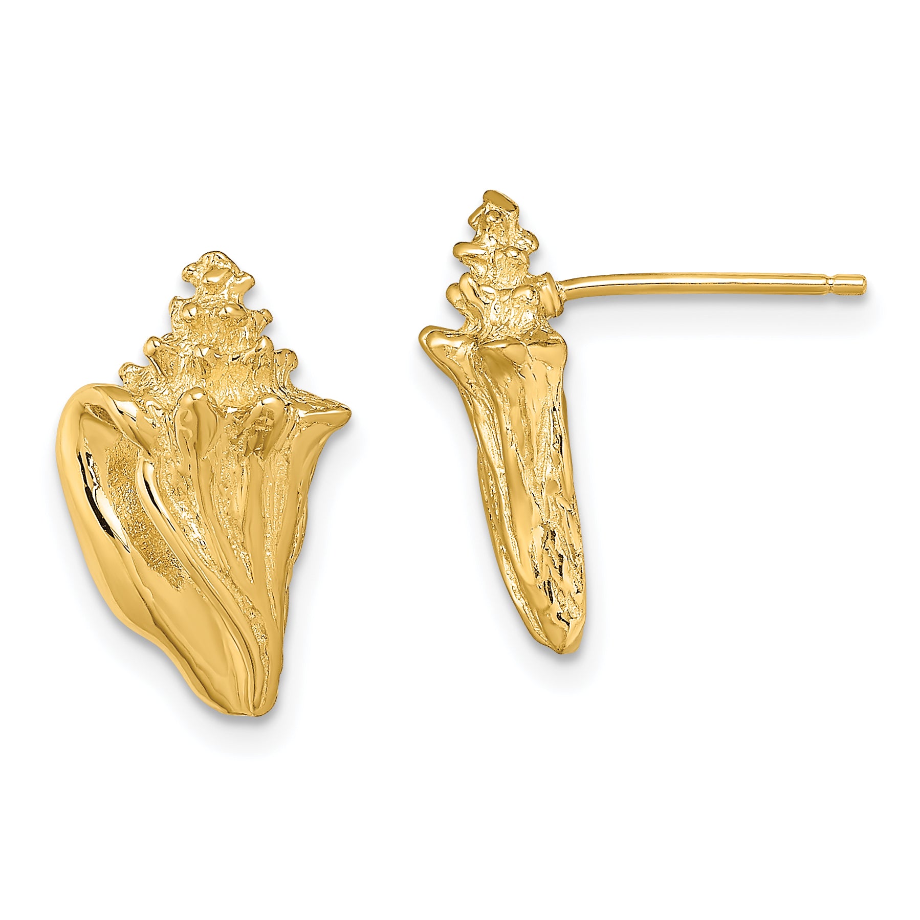 14K 2-D Conch Shell Post Earrings Main image